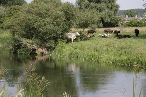 River Nene