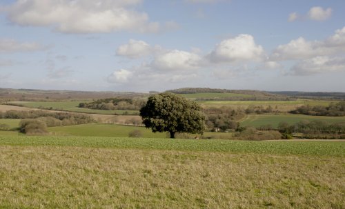 South Down Way