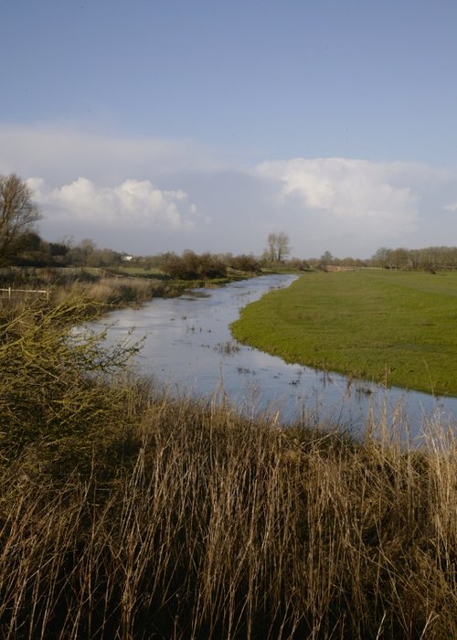 River Cuckmere