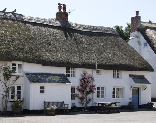 Cottage in Hope Cove