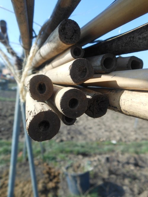 On the Allotment, Bilton