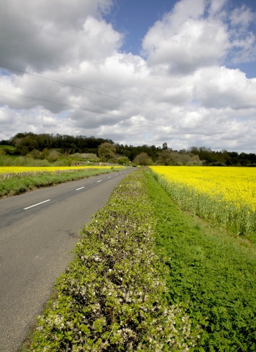 B Road to Penshurst, Kent