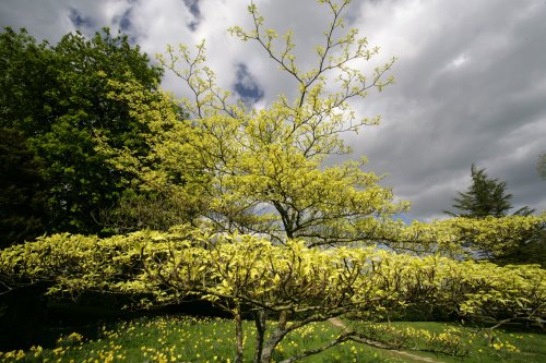 Kent Spring Colours