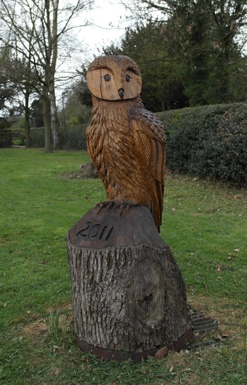 The owl of Lower Peover