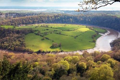 View from the Eagles Nest, Wyndcliff, nr. St Arvans.