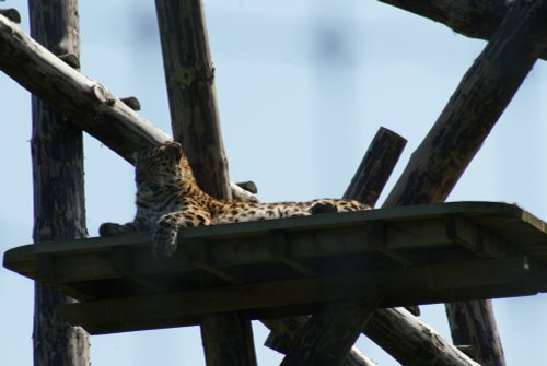 Yorkshire Wildlife Park, Doncaster, South Yorkshire