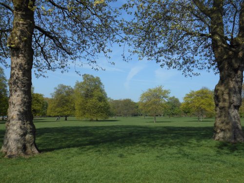 Hyde Park