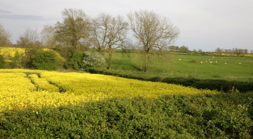 Northants Landscape