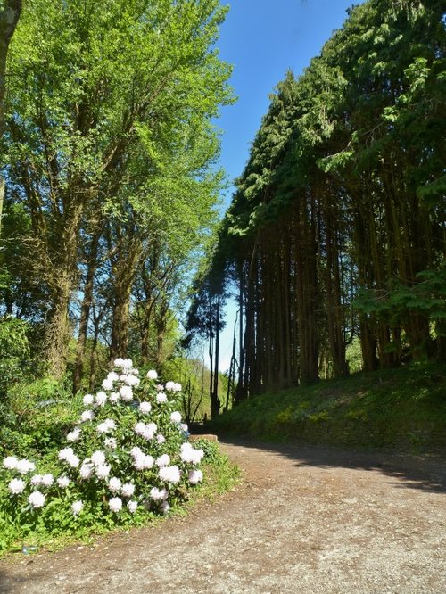 Perranarworthal Car Park.