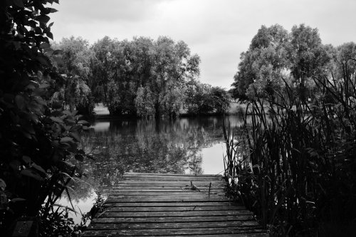 fishing platform at hemsworth water park