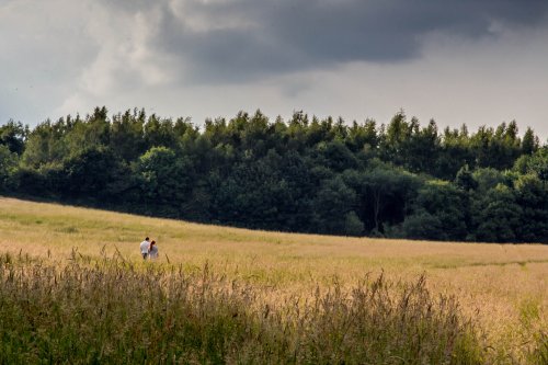 Hartshill Hayes