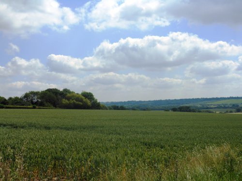 Countryside, Rugby