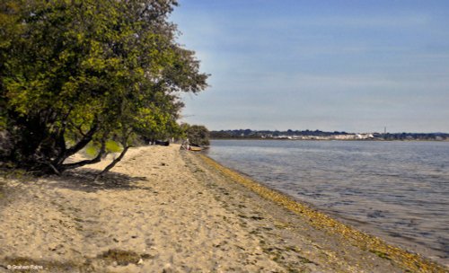 Arne RSPB Reserve, Dorset.