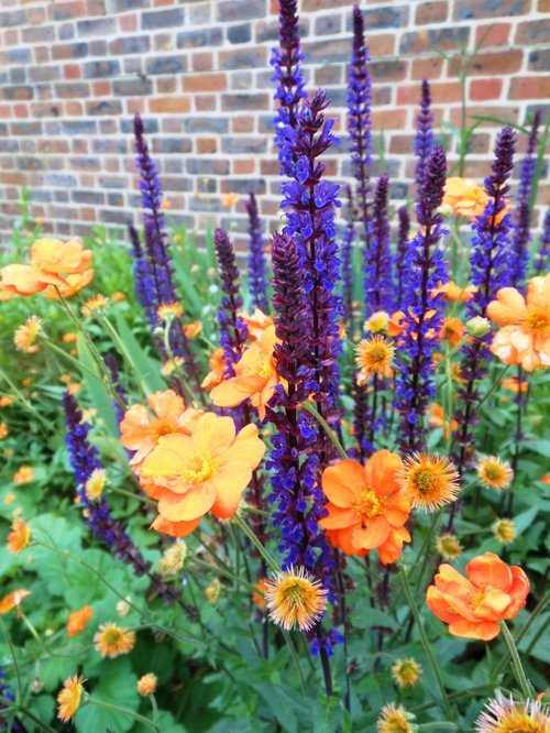 Flowers, Kew Gardens