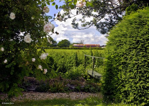 A Dorset Garden, Shillingstone.