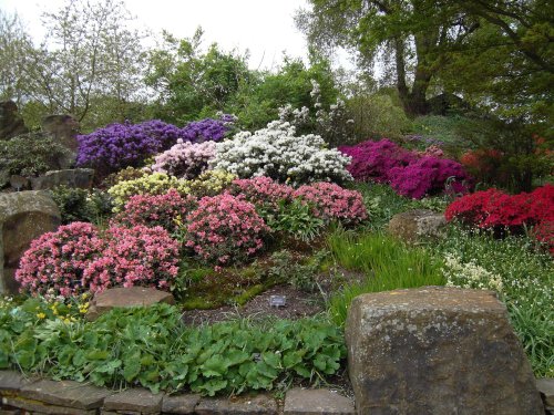 RHS Wisley