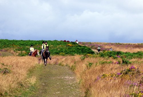 Quantock Hills