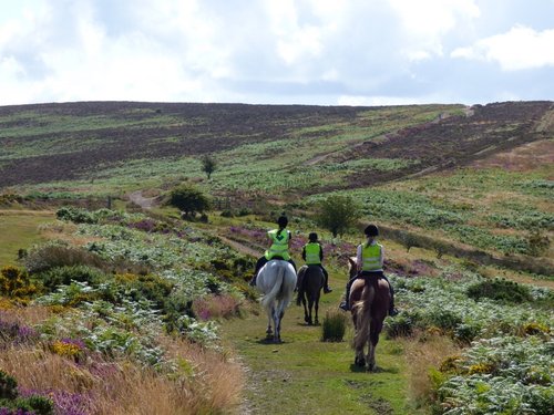 Quantock Hills