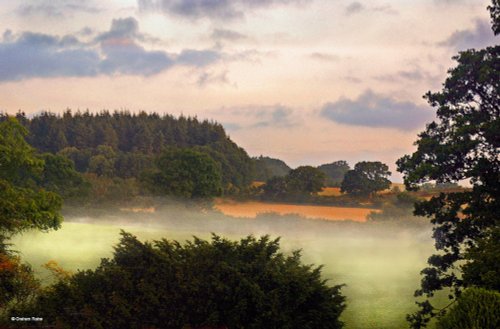 Stour Valley Summer, Shillingstone.