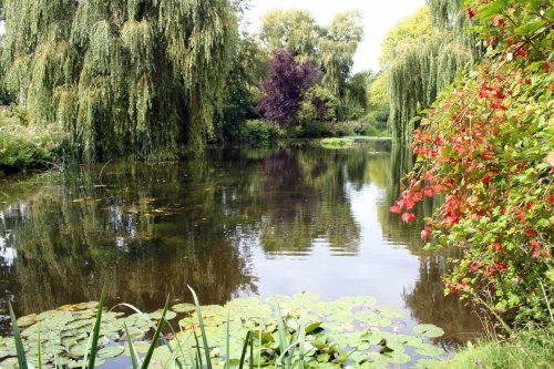 Water Gardens