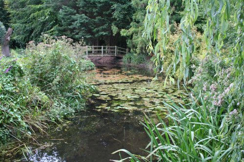 Water Garden