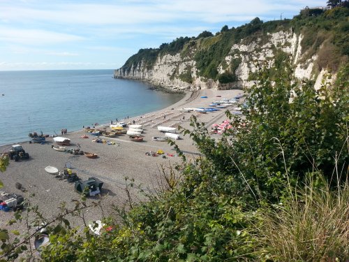 Beer beach from the cliff top