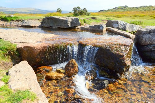 Windy Cross Leat