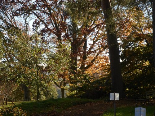 Autumn colours at Hergest Croft