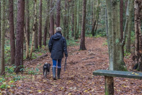 Hartshill Hayes