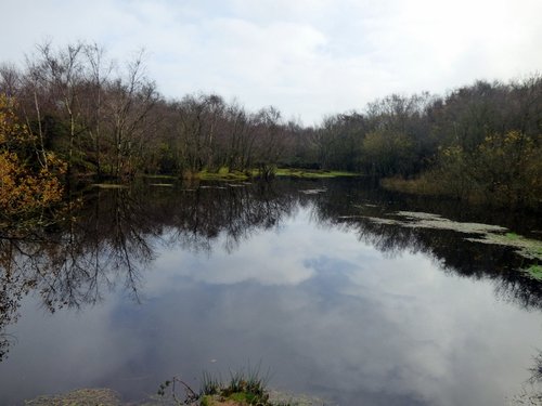 Sampford Moor