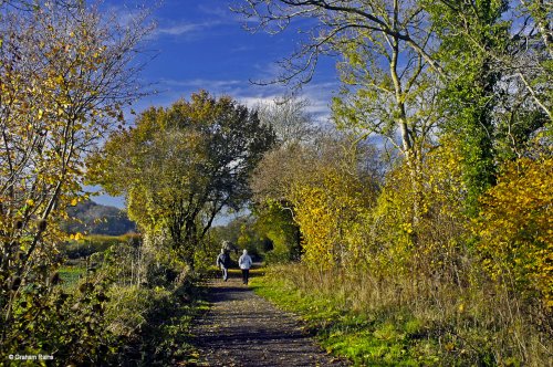 Stour Valley Autumn