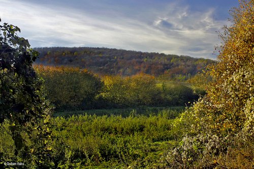 Stour Valley Autumn