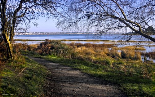 Arne RSPB Reserve