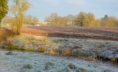 Winter scene