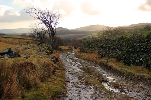 Rugged track, Duddon Valley nr Duddon Bridge