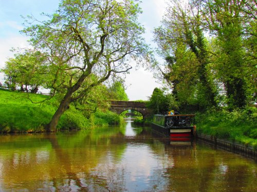 In the canal