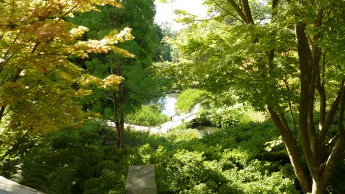 Leafy Wakehurst, 8th September 2014