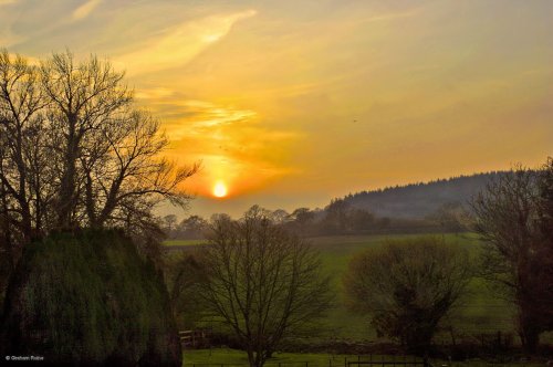 Stour Valley Spring, Shillingstone.