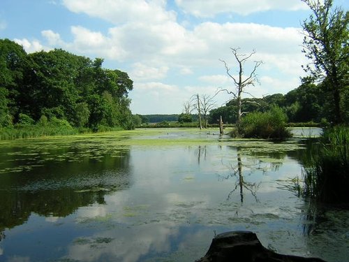 The lake Clumber park.