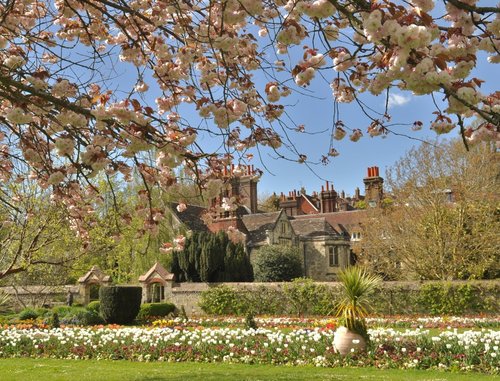 Lewes Grange Under Blossom