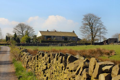 Jack House Nature Reserve