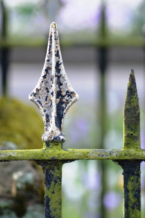 Railings, Bilton Green