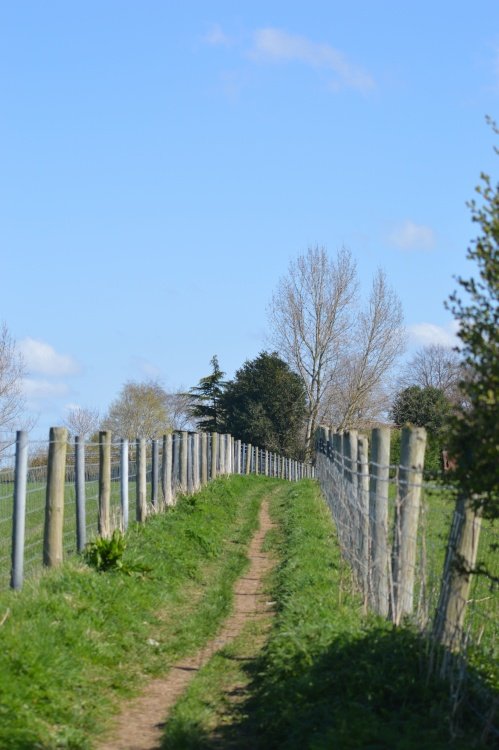 Little Scotland Farm