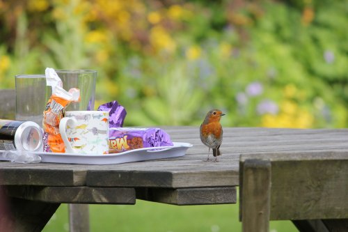 Can someone open the packet of biscuits please?