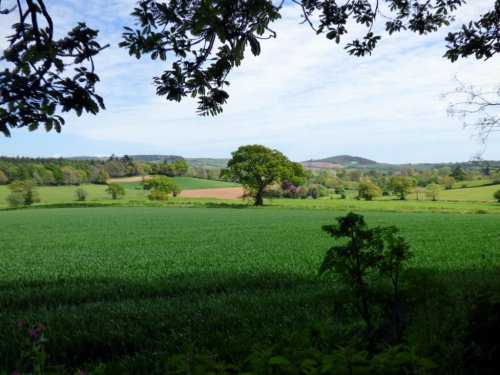 Woodbury Common