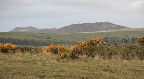 Across Bodmin Moor