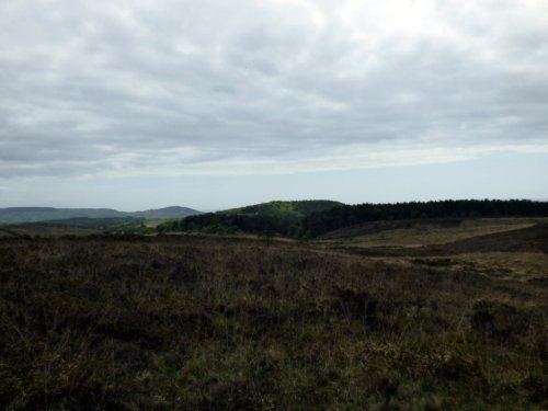 Woodbury Common