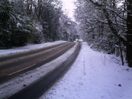 Snow, Warfield