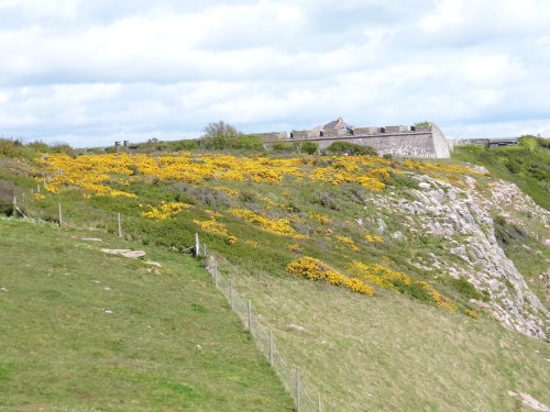 Berry Head