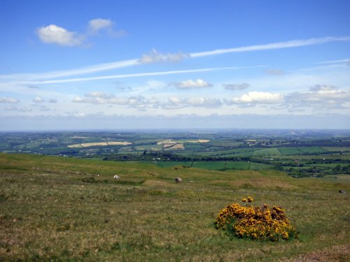 Dartmoor